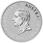 1oz Perth Mint Platinum Kangaroo bullion coin – obverse