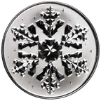1oz Silver Scottsdale Snowflake coin .999